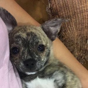 Meet your Posher, Jackie